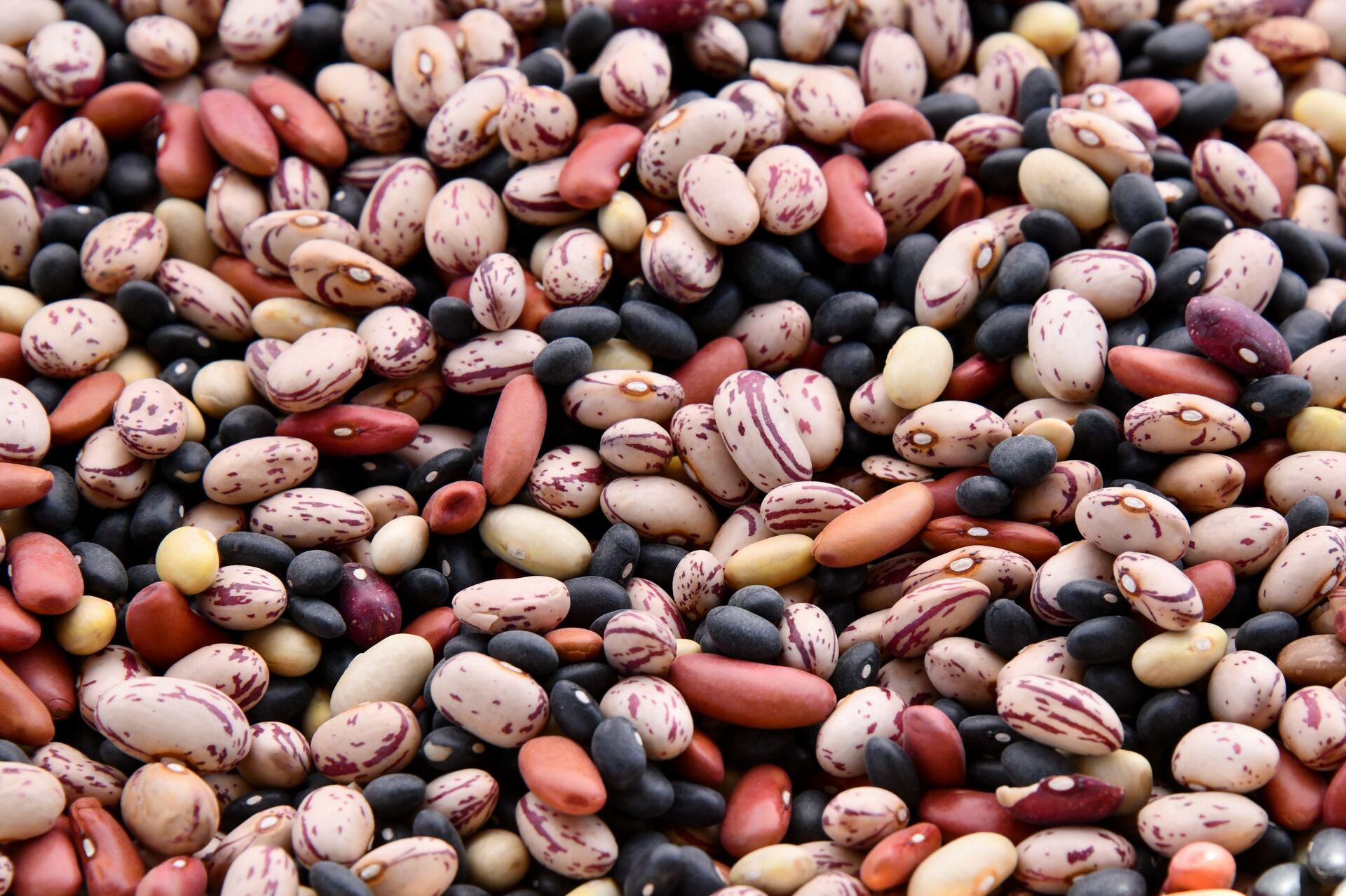 Alimentos que bajan la glucosa y colesterol según la UNAM