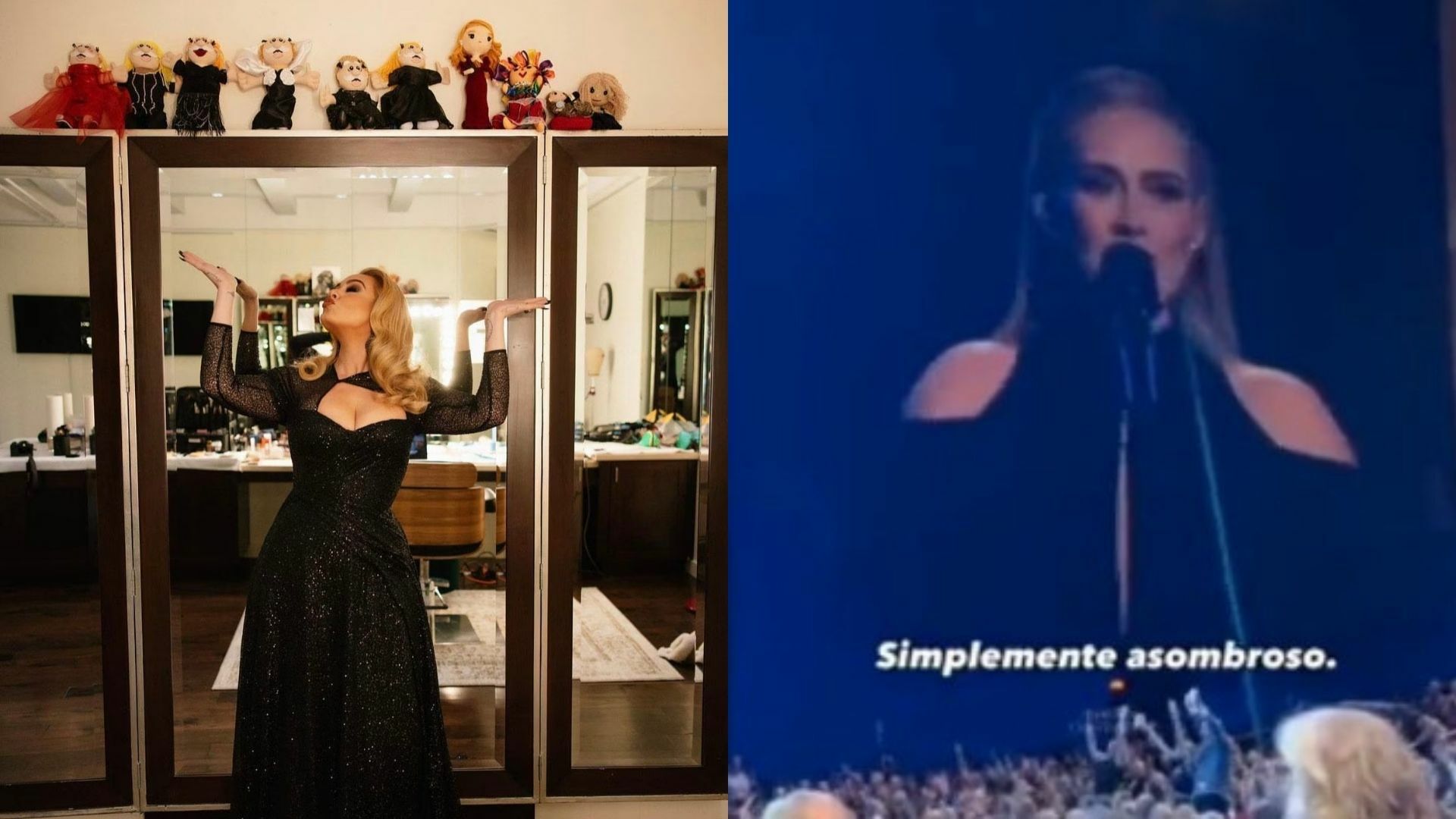 VIDEO: Adele habla de la historia de peluches del Dr Simi en pleno concierto