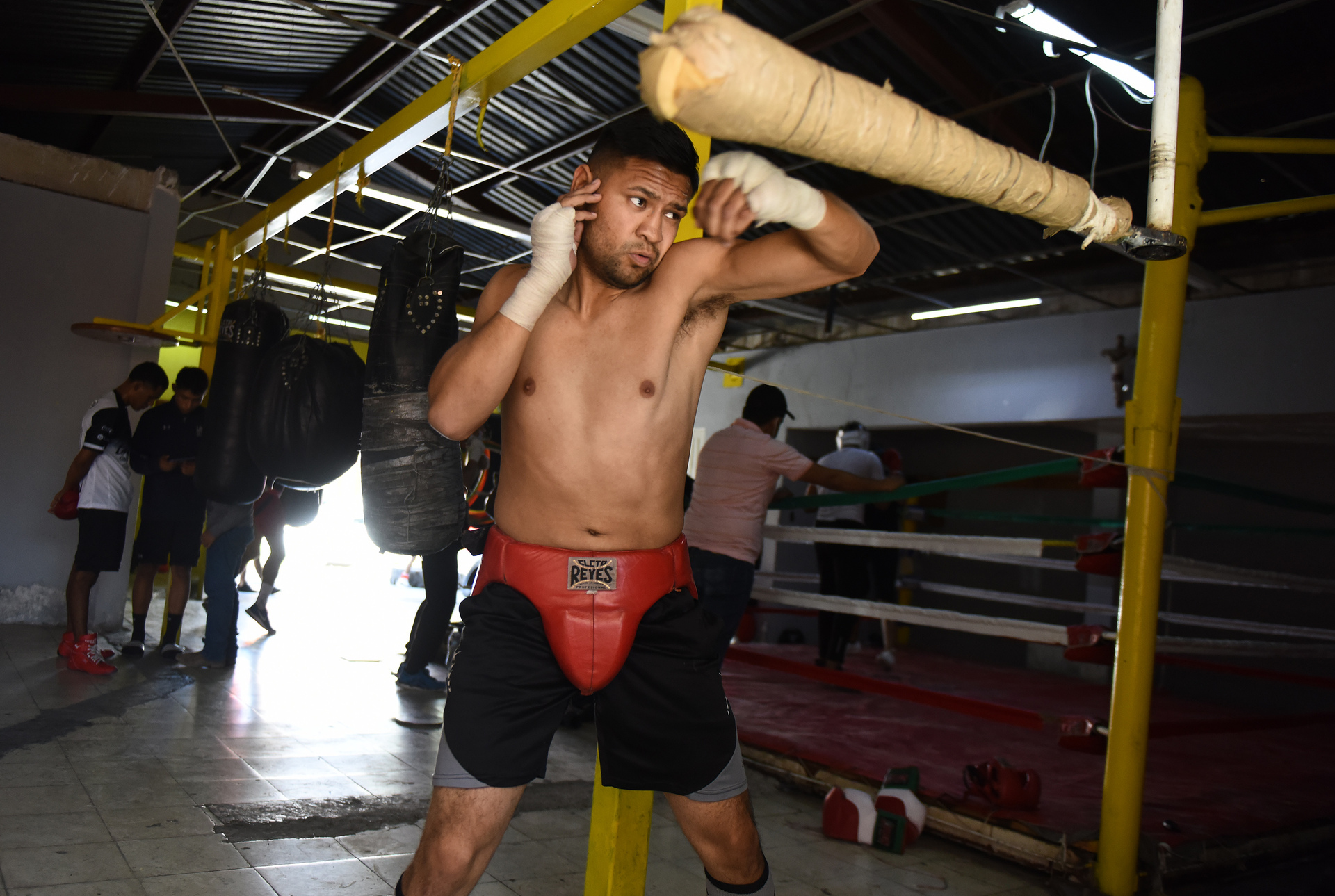 El experimentado boxeador lagunero, tuvo una ardua preparación desde hace varias semanas para llegar en óptimas condiciones a la contienda. 