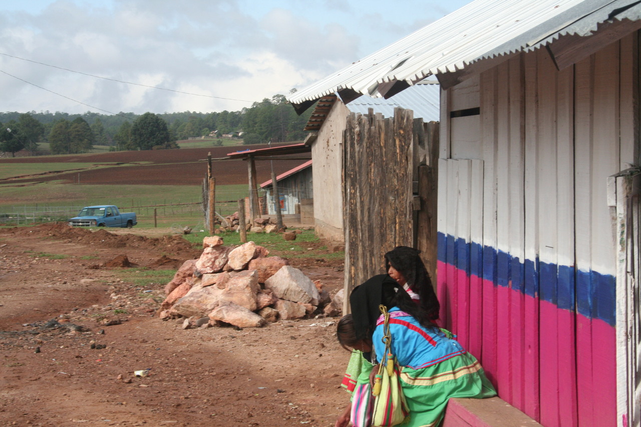 Se encuentran en ejecución proyectos del Programa para el Bienestar de los pueblos indígenas. (EL SIGLO DE DURANGO)