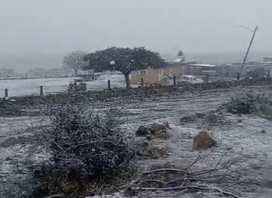 Ya se han difundido algunos videos que muestran el 'plumeo' en la zona muy cercana a la capital de Durango, donde se tiene cada vez más presente el pronóstico de nevadas.