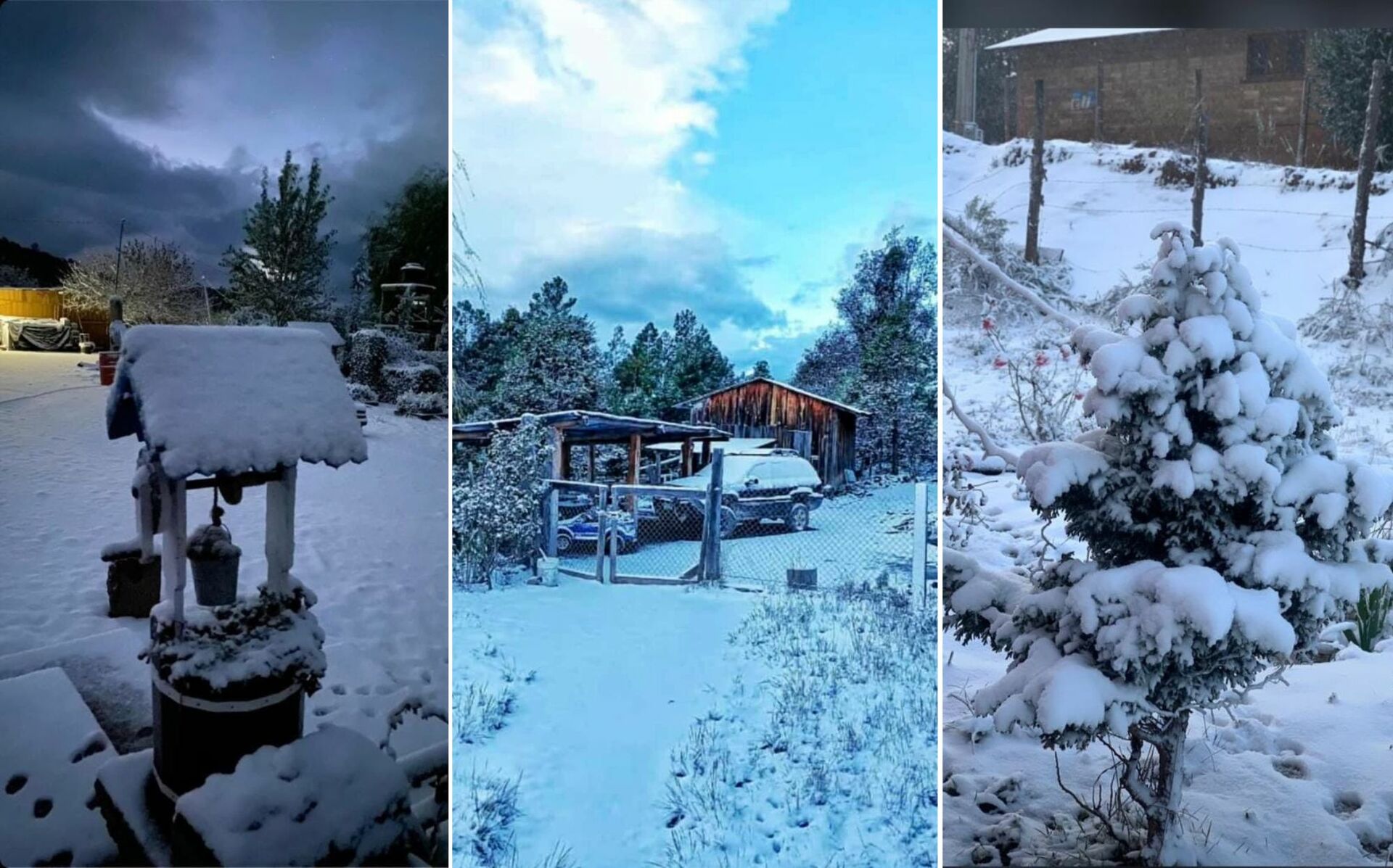 Los primeros municipios de Durango en reportar nevadas fueron Guanaceví, Tamazula y Tepehuanes, dejando espectaculares paisajes.