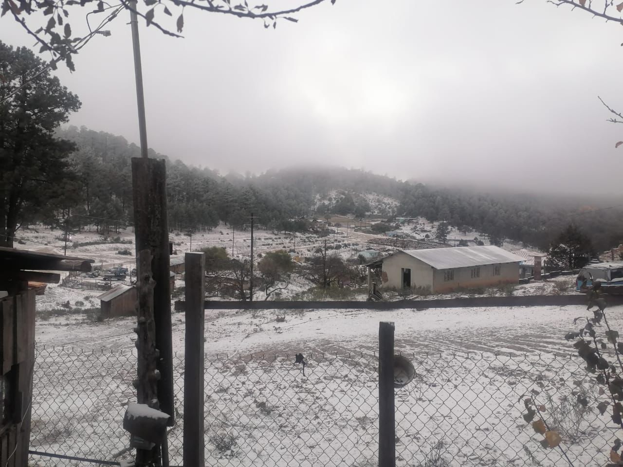 A través de las redes sociales se difundieron las imágenes de la primera nevada de la temporada en Durango. (EL SIGLO DE DURANGO)