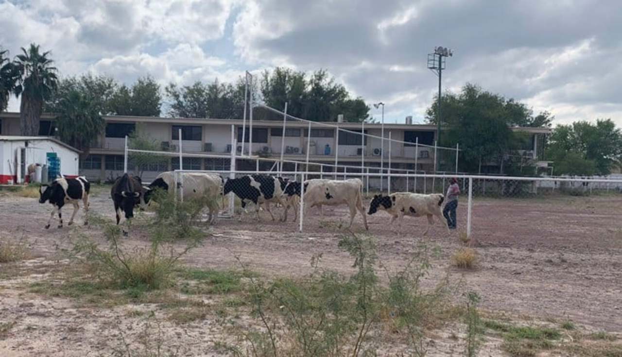 La presencia de una nueva corporación policial, como la Policía Rural, dará más tranquilidad a los productores del campo. (EL SIGLO DE TORREÓN)
