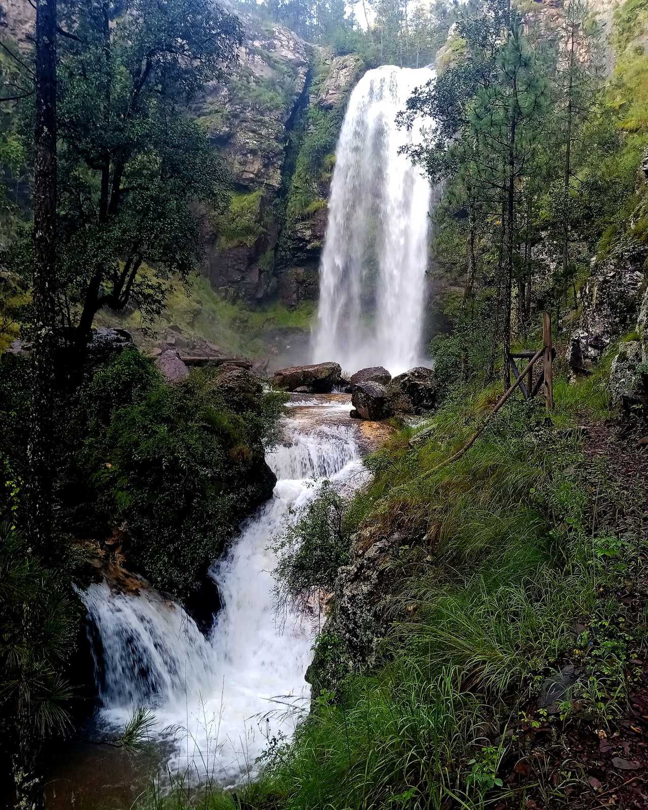 Conanp quiere convertir en zona natural protegida al 58 % de San Dimas y a casi la totalidad del municipio de San Ignacio en Sinaloa.