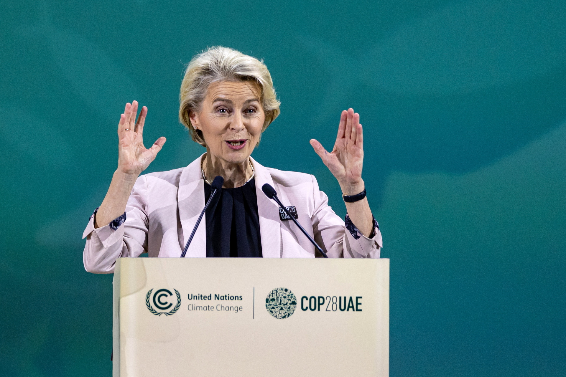 La presidenta de la CE recalcó que la energía 'más barata del mundo' es 'la que no se usa'.  (MARTIN DIVISEK / EFE)