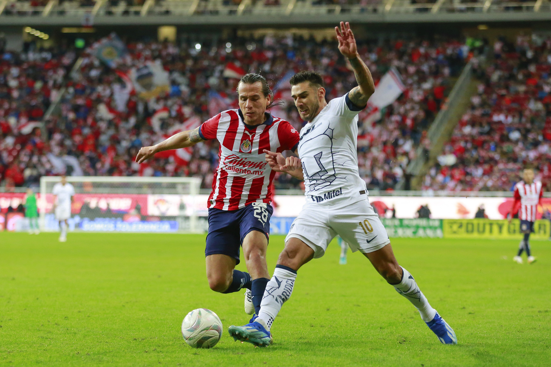 Pumas necesitará vencer a Chivas para meterse a semifinales, mientras que al Rebaño le basta el empate en Ciudad Universitaria. (EFE)
