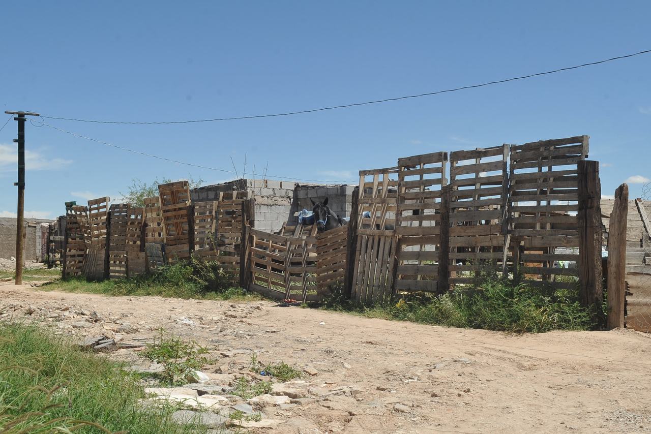Suman más de 12 mil casas de cartón en Durango