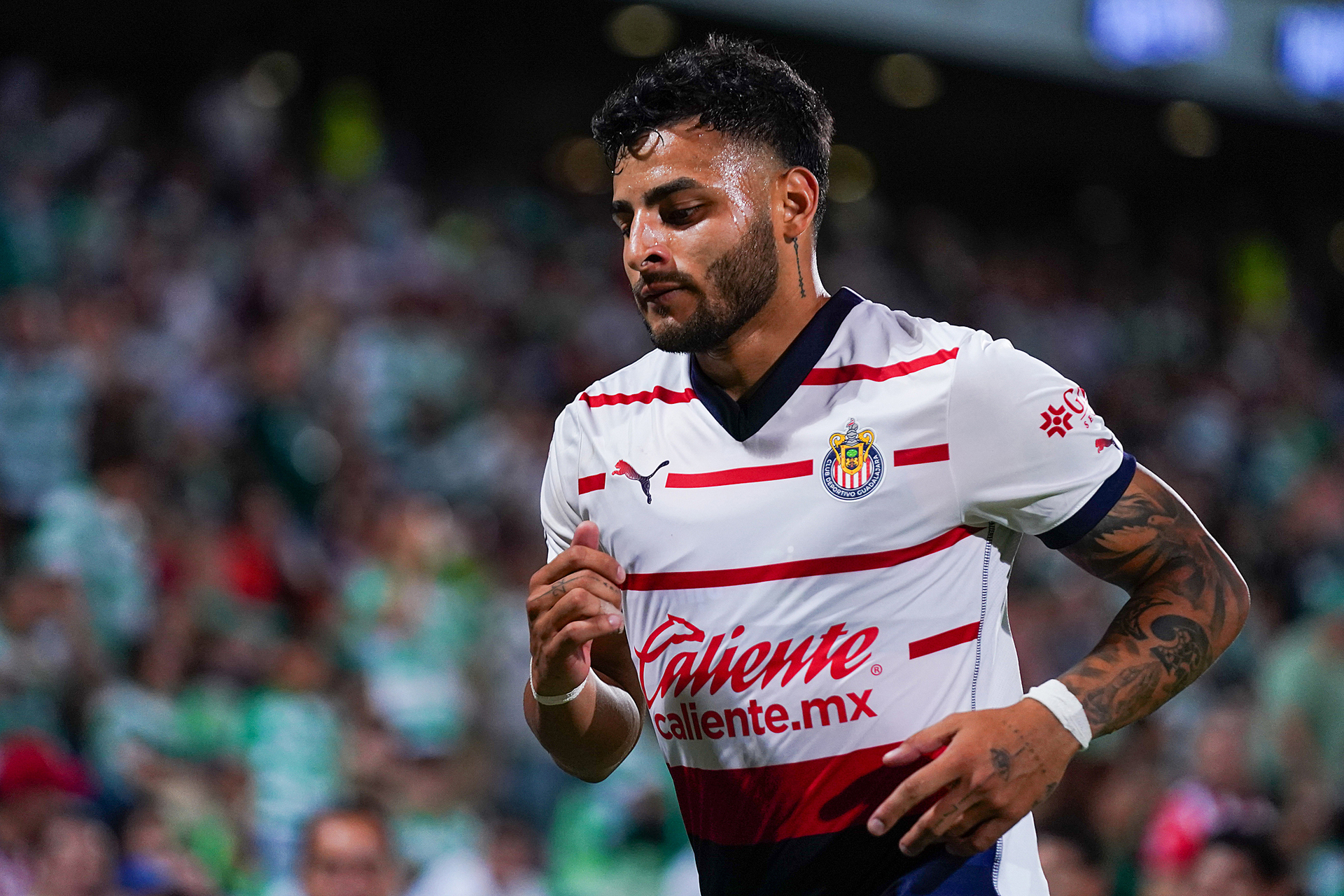  La afición de Pumas ya había tenido un fuerte recibimiento para Amaury Vergara y Fernando Hierro, dueño y director deportivo de Chivas, respectivamente, al abuchearlos mientras se dirigían al palco.