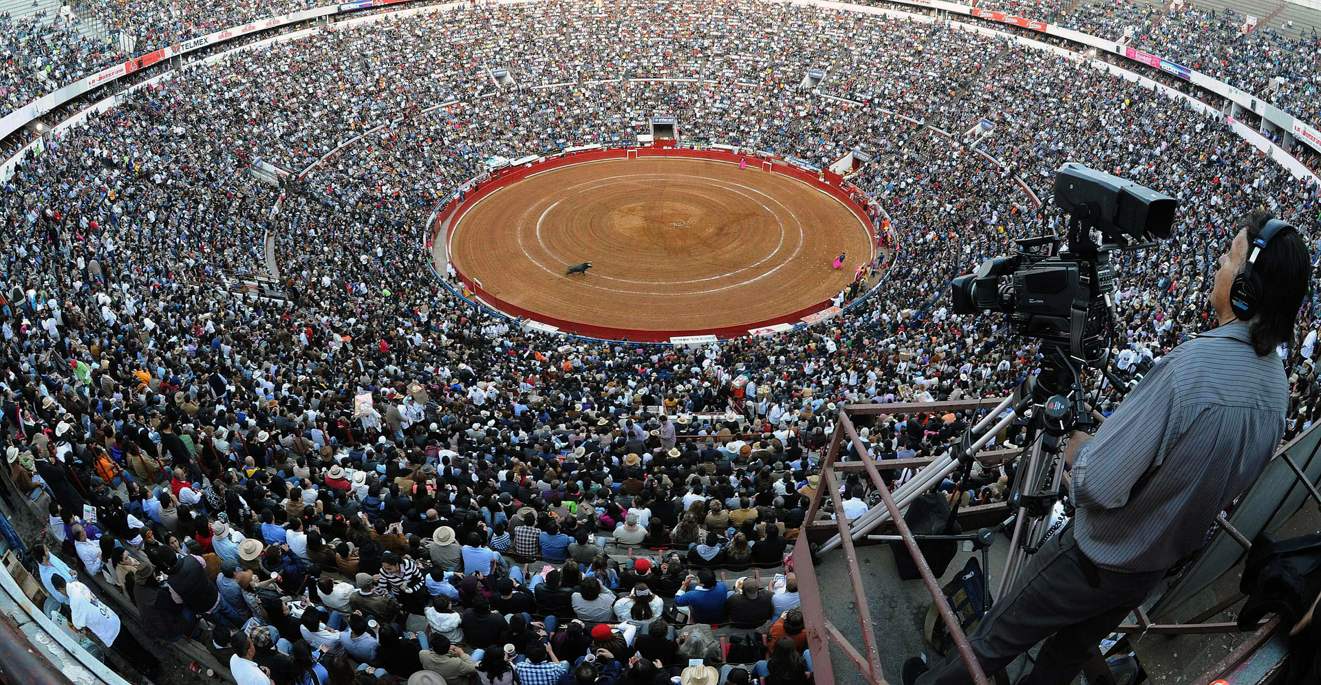 Proponen consulta ciudadana para corridas de toros en México