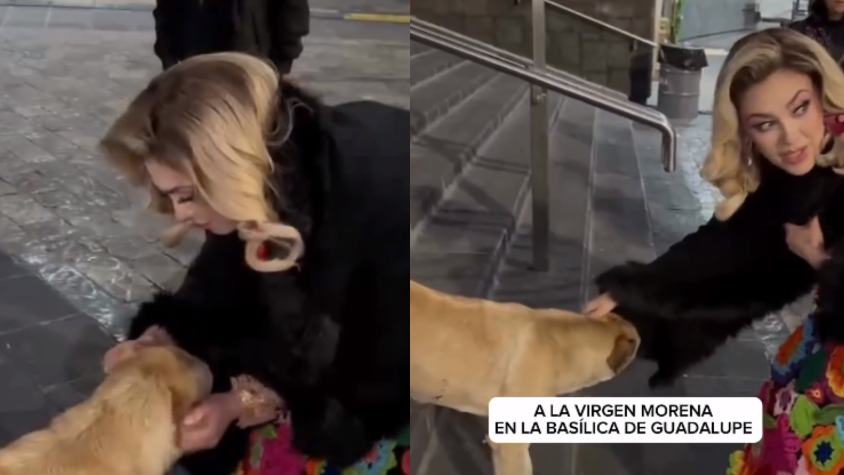 Lo adoptó? Aracely Arámbula rescata a perro afuera de la Basílica de  Guadalupe | El Siglo de Torreón