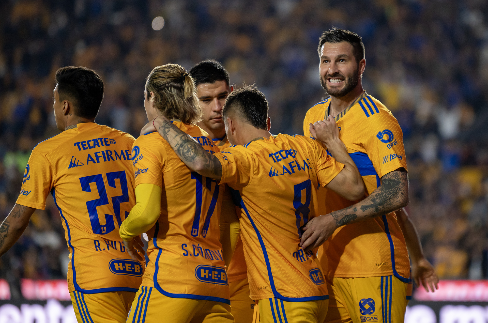 Tigres, con la ilusión de convertirse en bicampeón