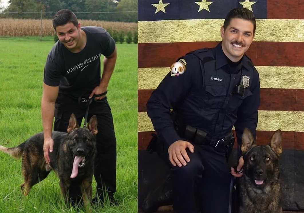 cuanto tarda en entrenar un perro policia