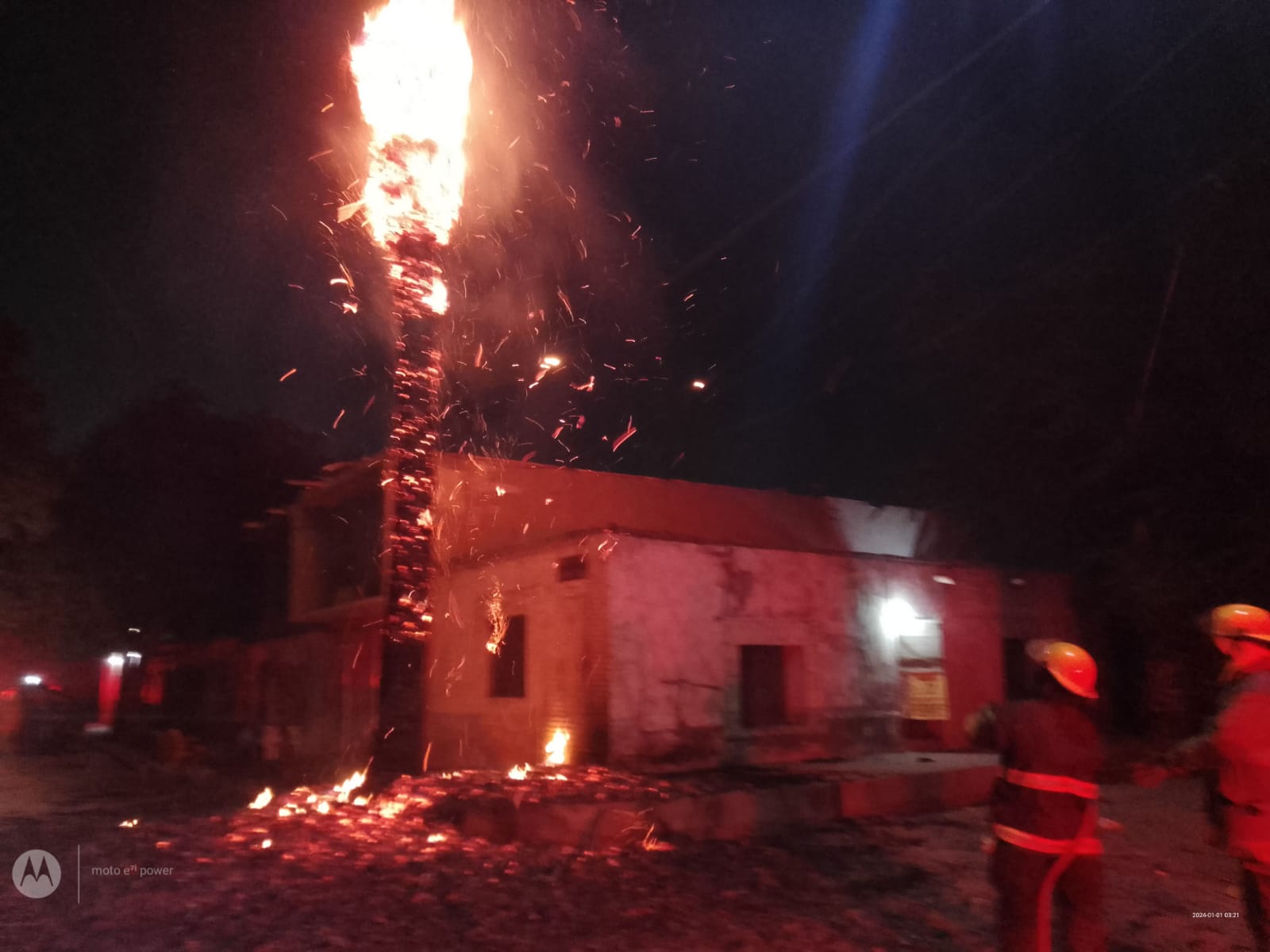 Por pirotecnia se encienden palmeras y un lote baldío en Torreón