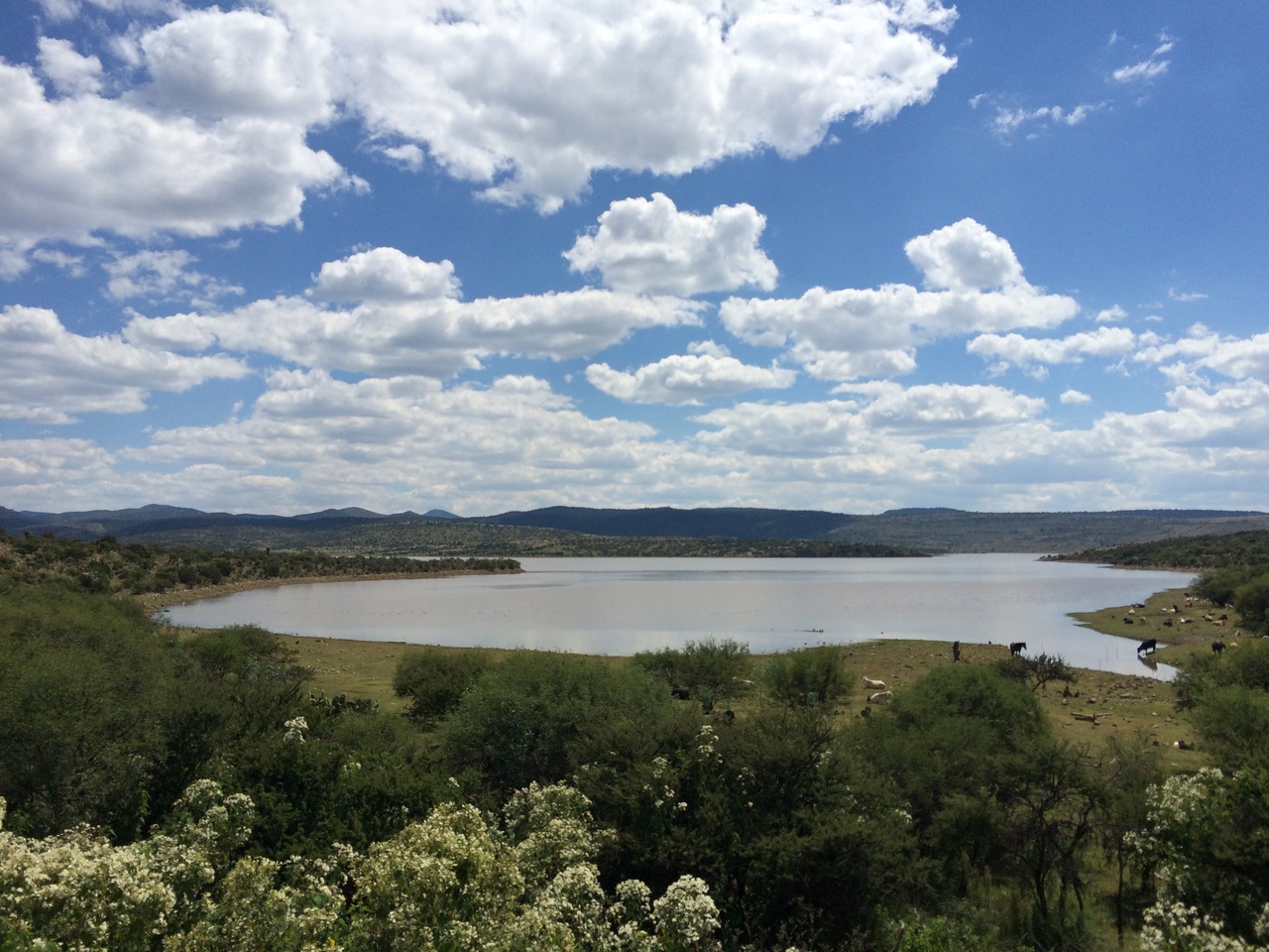 Se realiza la rehabilitación de la presa Francisco Villa en el estado de Durango. (EL SIGLO DE DURANGO)