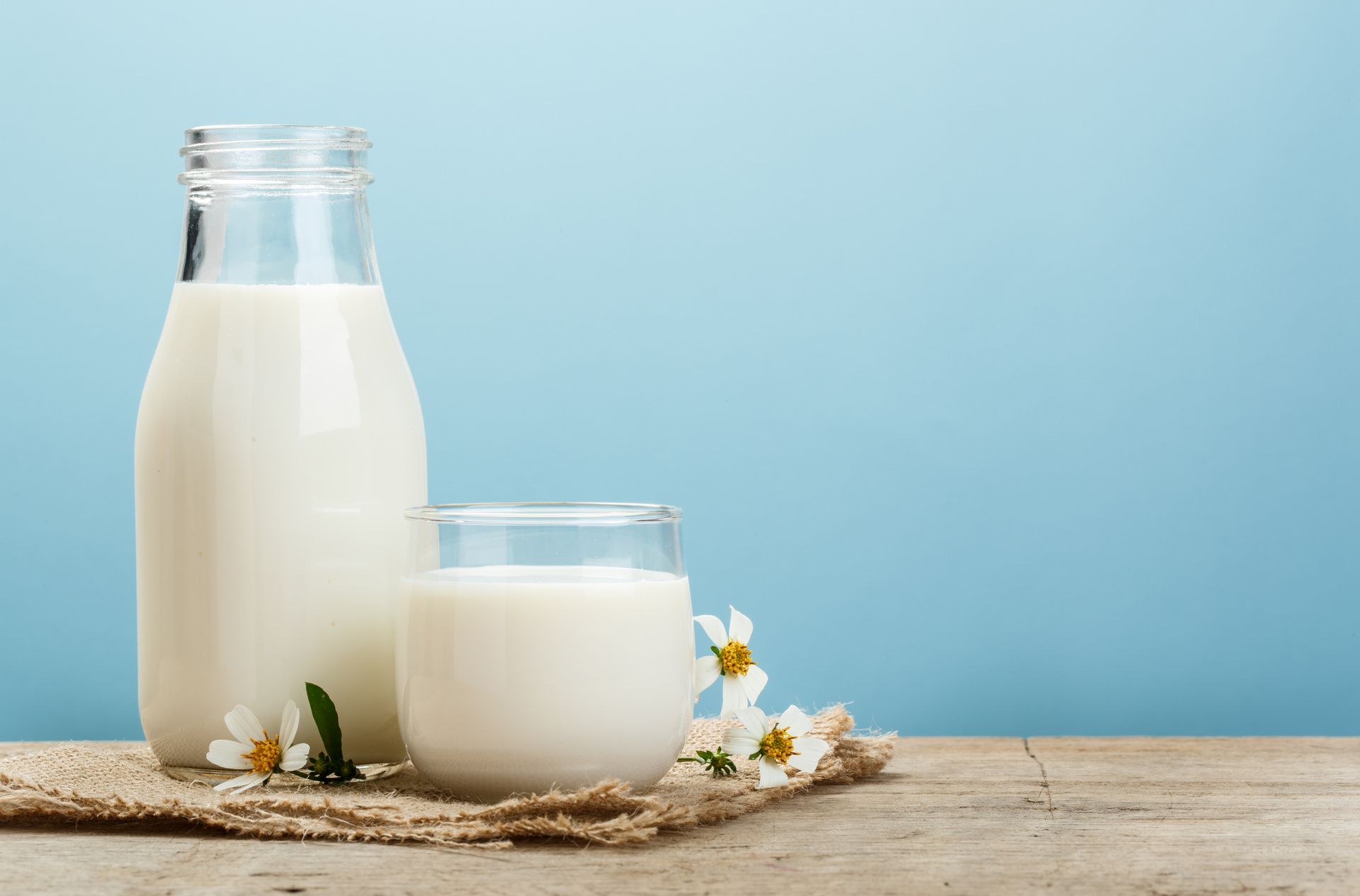 ¿Qué sucede si consumes mucha leche a diario, según Harvard?