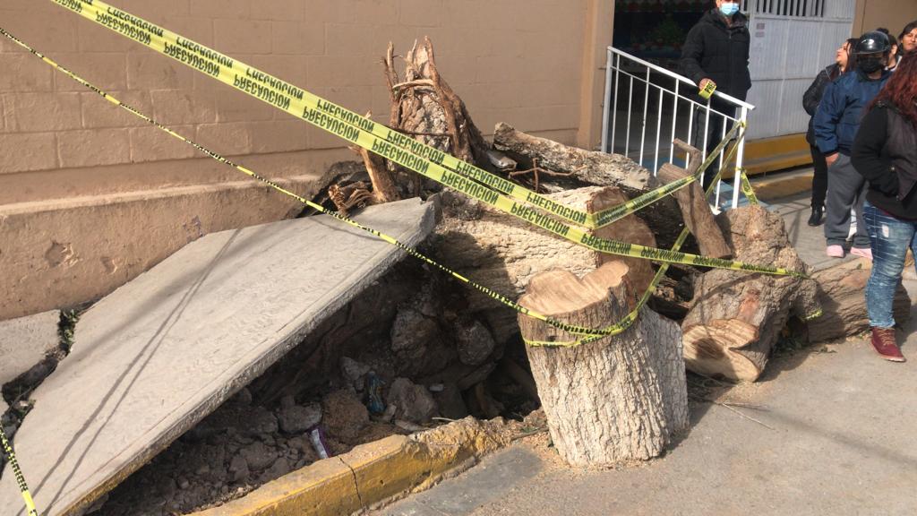 Bloquean poniente de Torreón para exigir retiro de árboles peligrosos en primaria