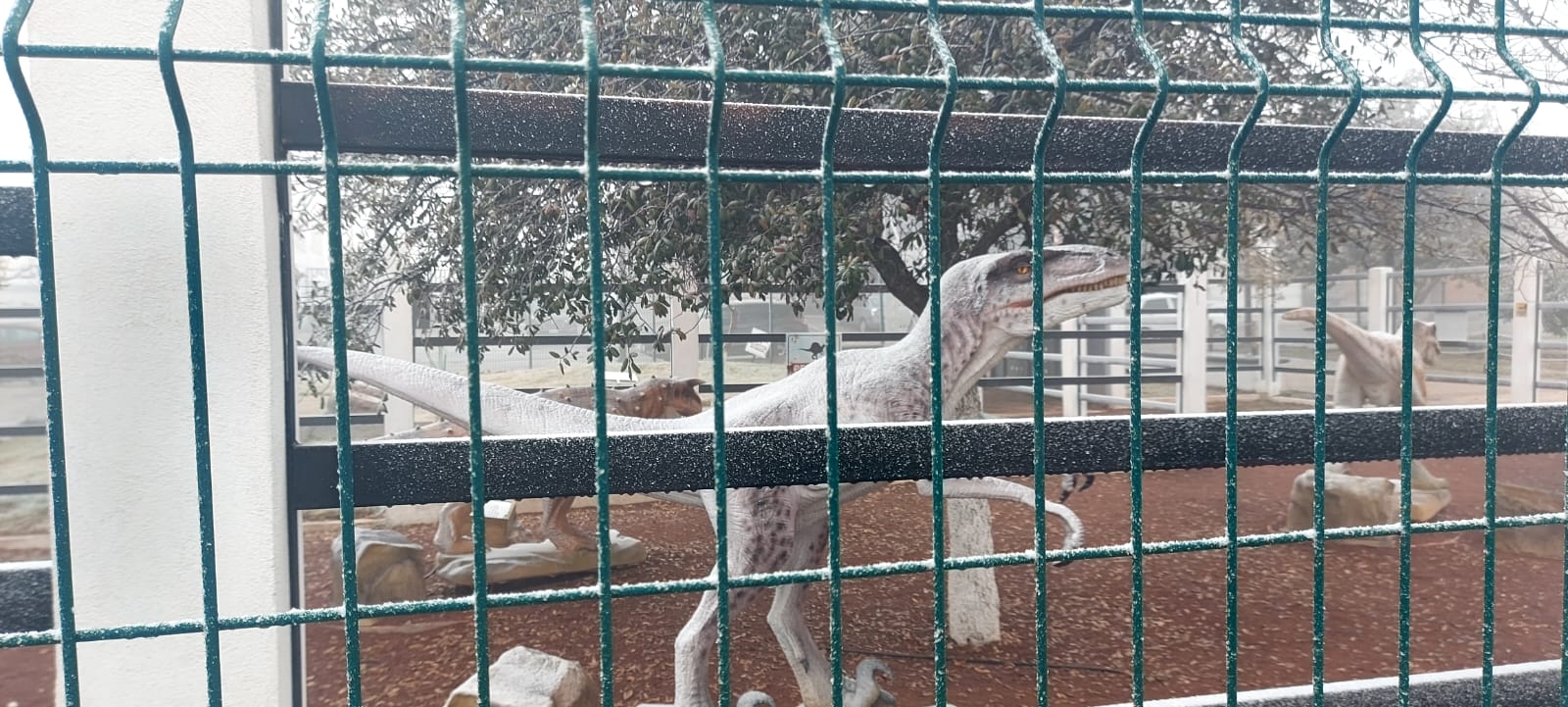 Caída de nieve en el parque recreativo Dinolandia.