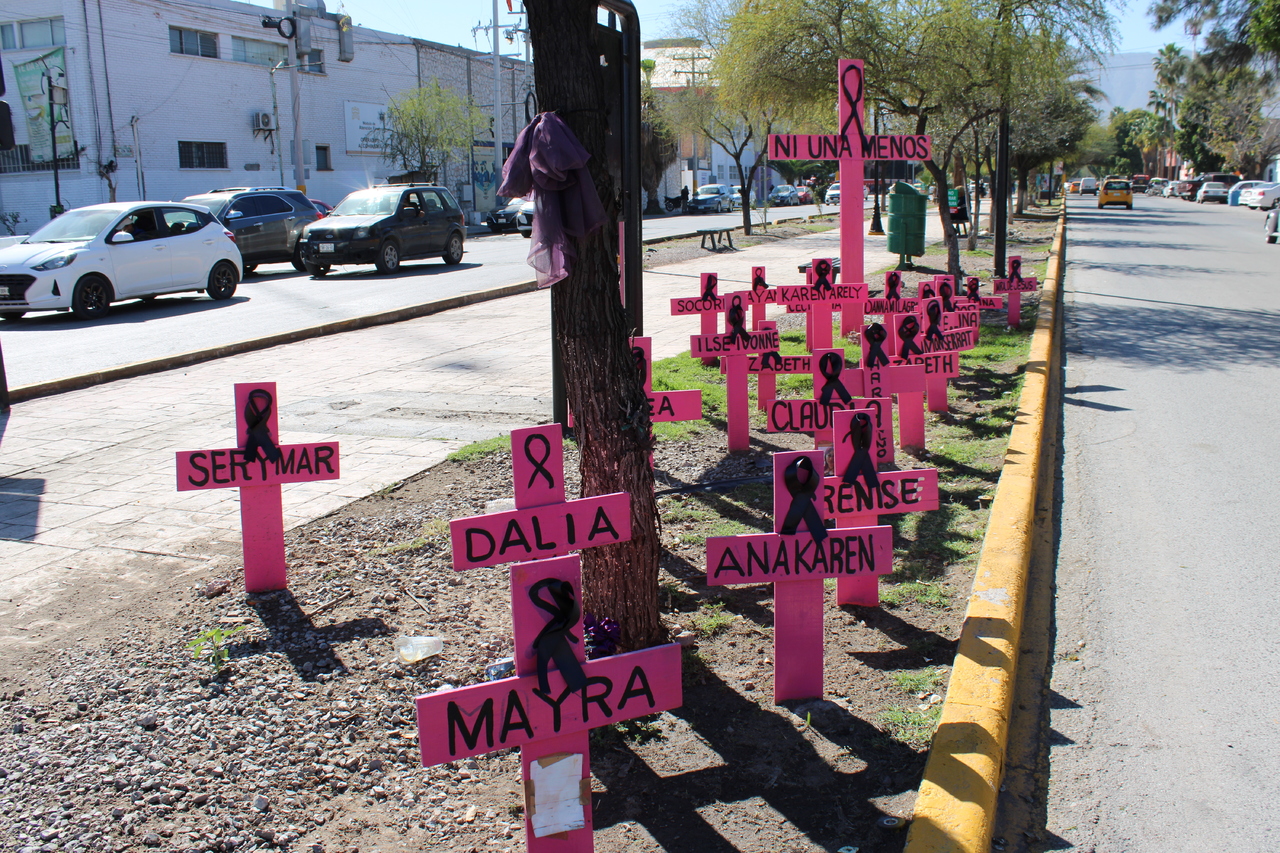 Edgar, Salvador y Cecilia, hijos de Cecilia; al igual que Camila y Frida, hijos de Dalia, están registrados en el padrón de víctimas indirectas de feminicidio en Coahuila.