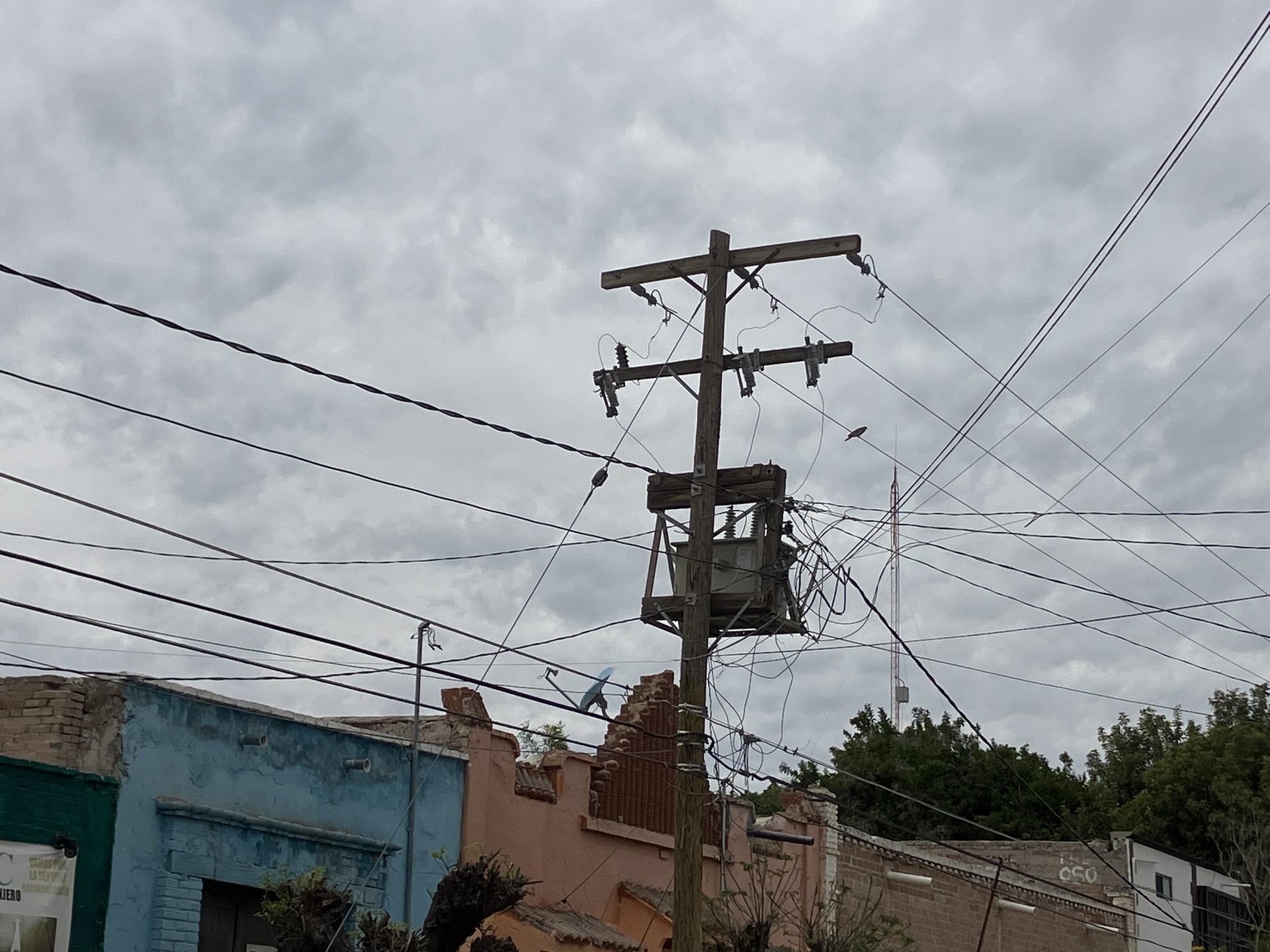 Alrededor de un año después de que se solicitó a la Comisión Federal de Electricidad (CFE) el mejoramiento de la red eléctrica en el centro de San Pedro, ante las constantes fallas que se registran durante la temporada de calor, finalmente hace quince días empezaron los trabajos.