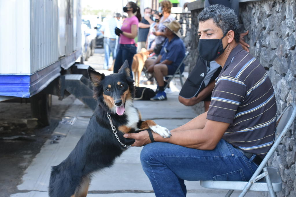 Director de protección y cuidado animal de Monclova asegura que es necesario vacunar las mascotas