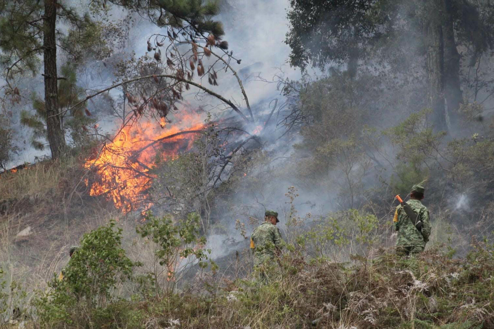 Las autoridades identifican 95 incendios forestales activos en México, el número más alto en lo que va del año