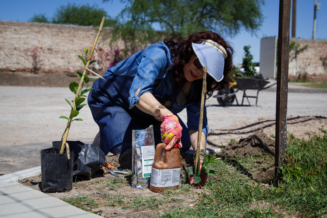Lupita Núñez de Murra al momento de plantar y aplicar fertilizantes.