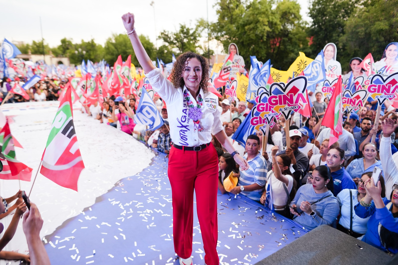 Elecciones 2024