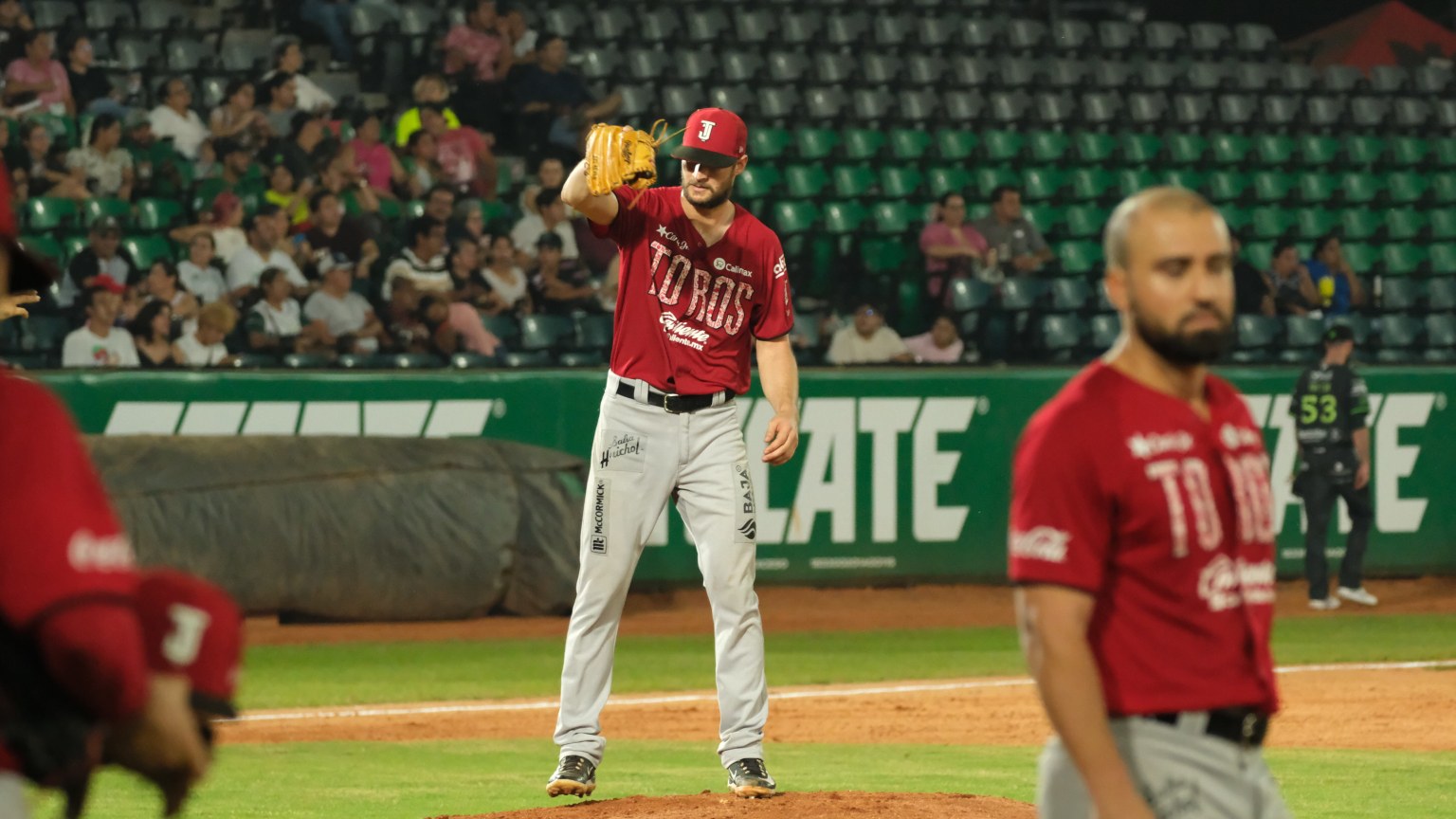 Liga Mexicana de Béisbol.