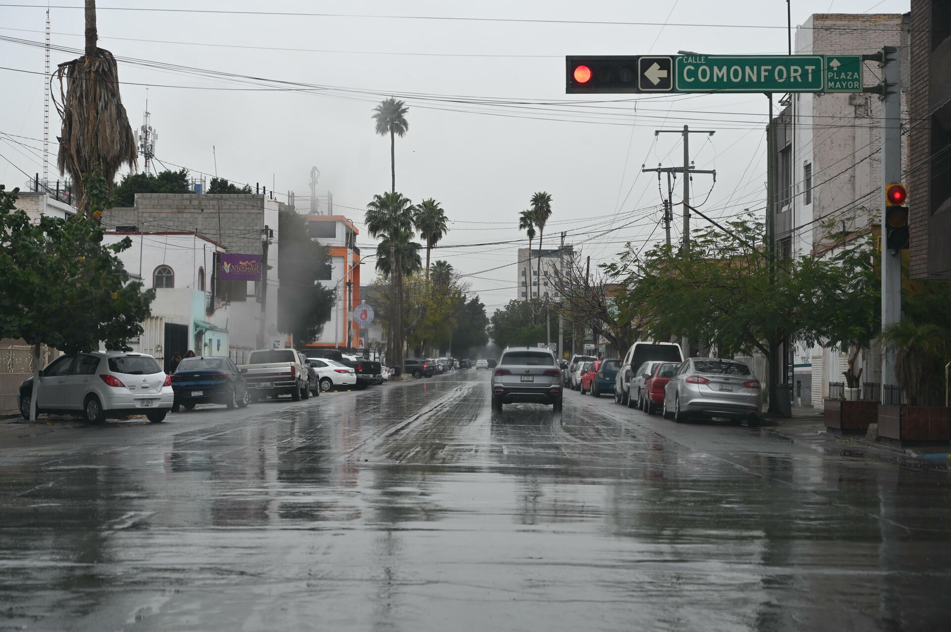 Lluvias en La Laguna (EL SIGLO DE TORREÓN / VERÓNICA RIVERA)