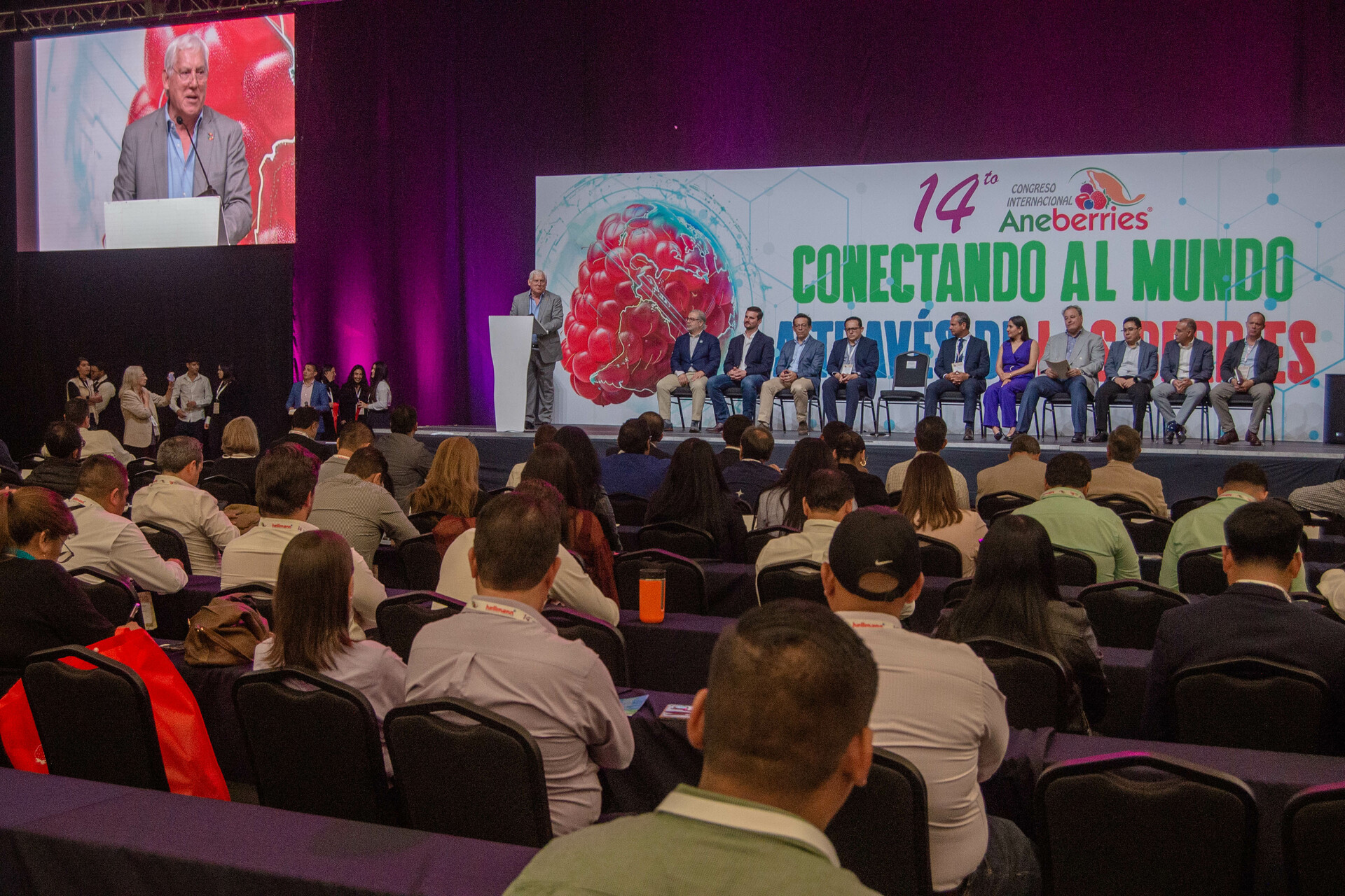 Aumento global de demanda de frutillas, oportunidad para México: SADER