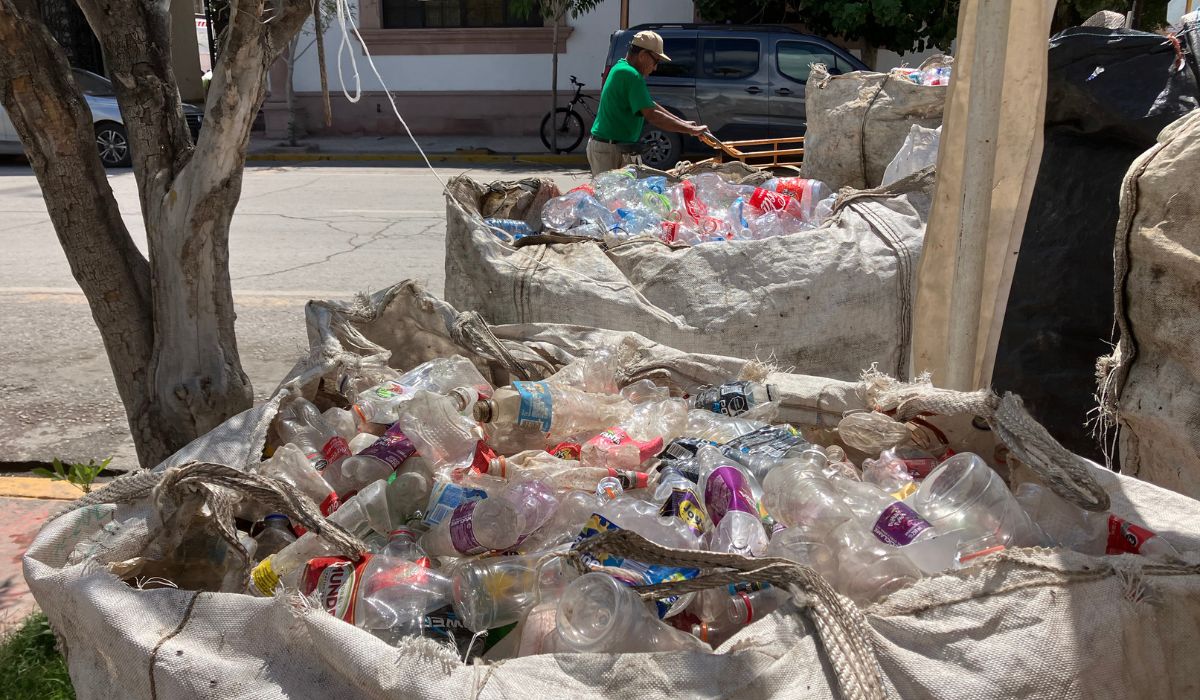 Recogen cerca de 800 kilogramos de material reciclable en el centro de canje de San Pedro