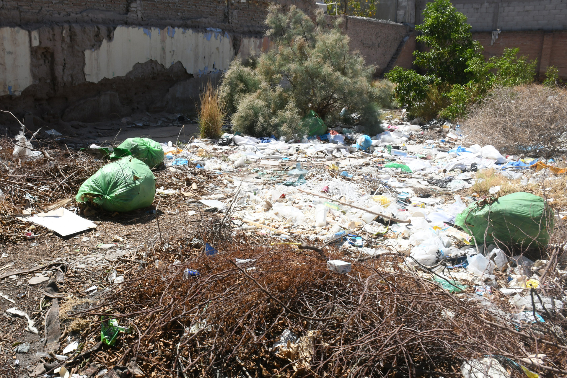 Basura en baldíos, el principal conflicto ambiental en Gómez Palacio