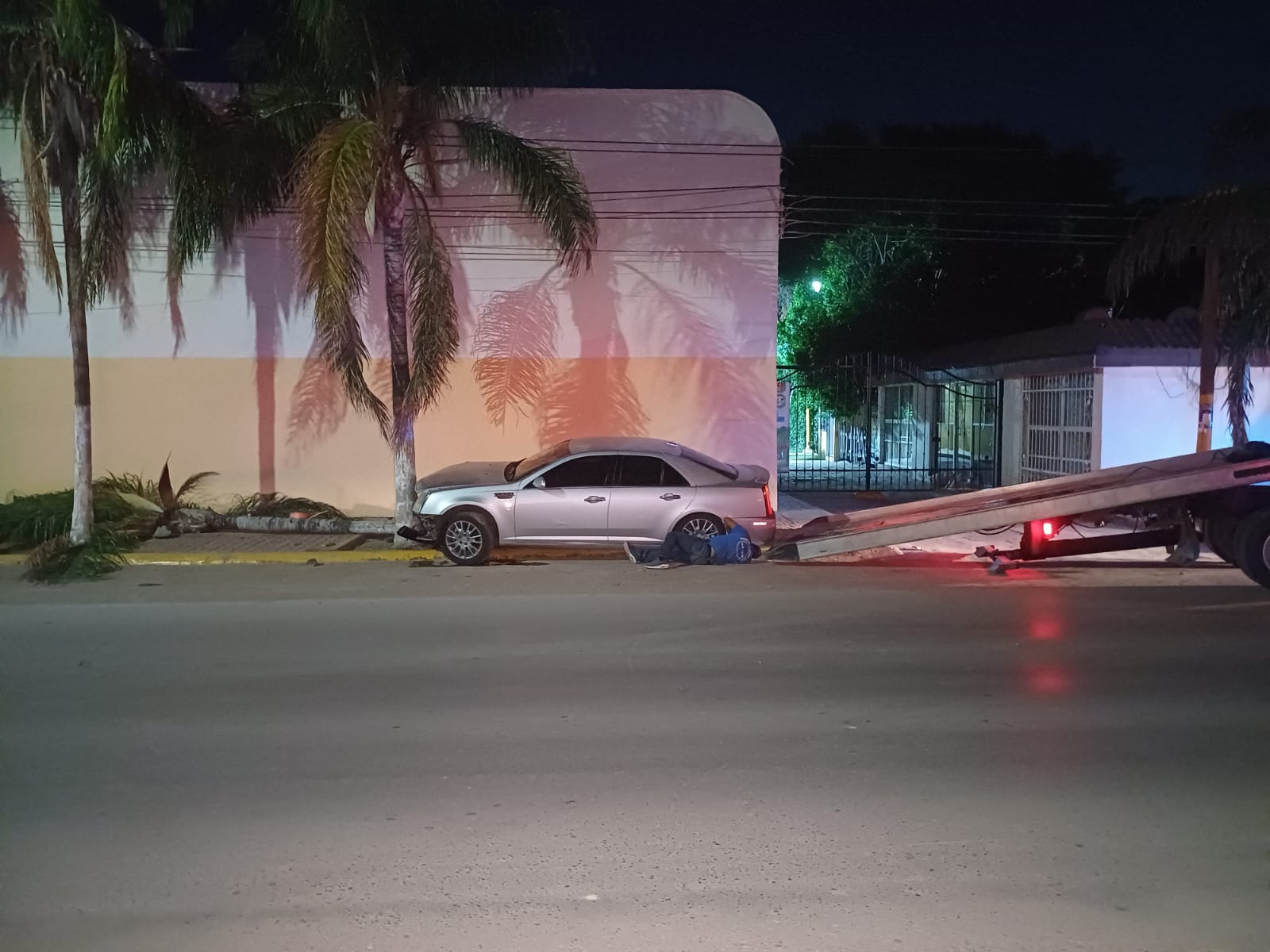 Durante la madrugada choca joven conductor contra palma en Torreón