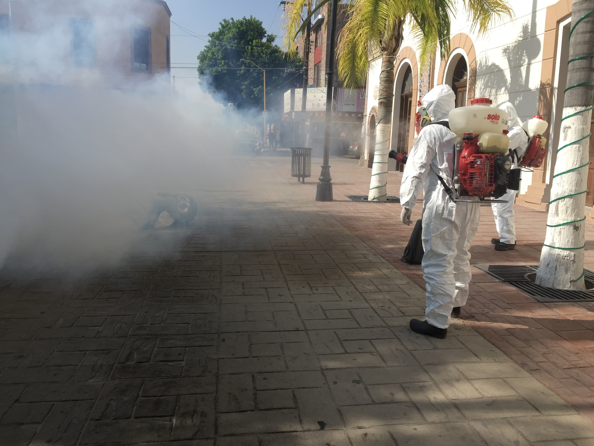 Campaña contra dengue en Lerdo (ARCHIVO)