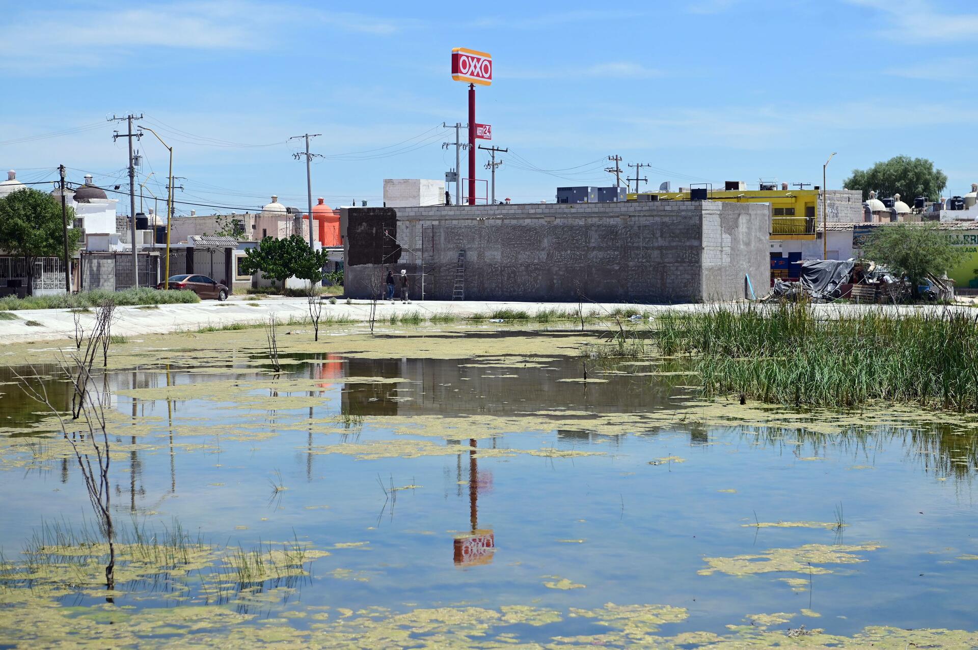 Terreno donde construyen tienda en Campo Nuevo Zaragoza es particular, asegura Urbanismo