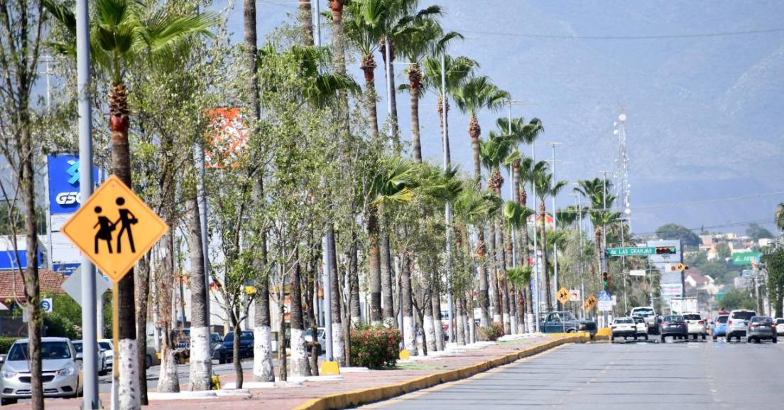 Monclova lucha contra cambio climático con arborización