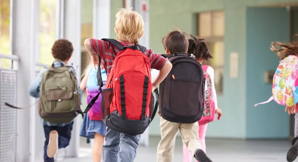 Mochilas escolares para los niños. 