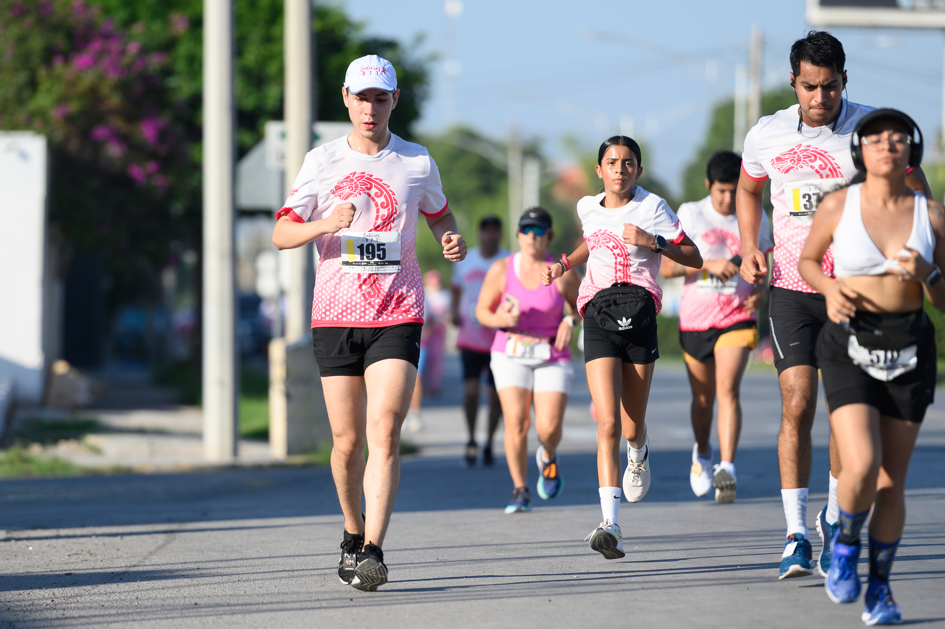 Carrera Rosa.