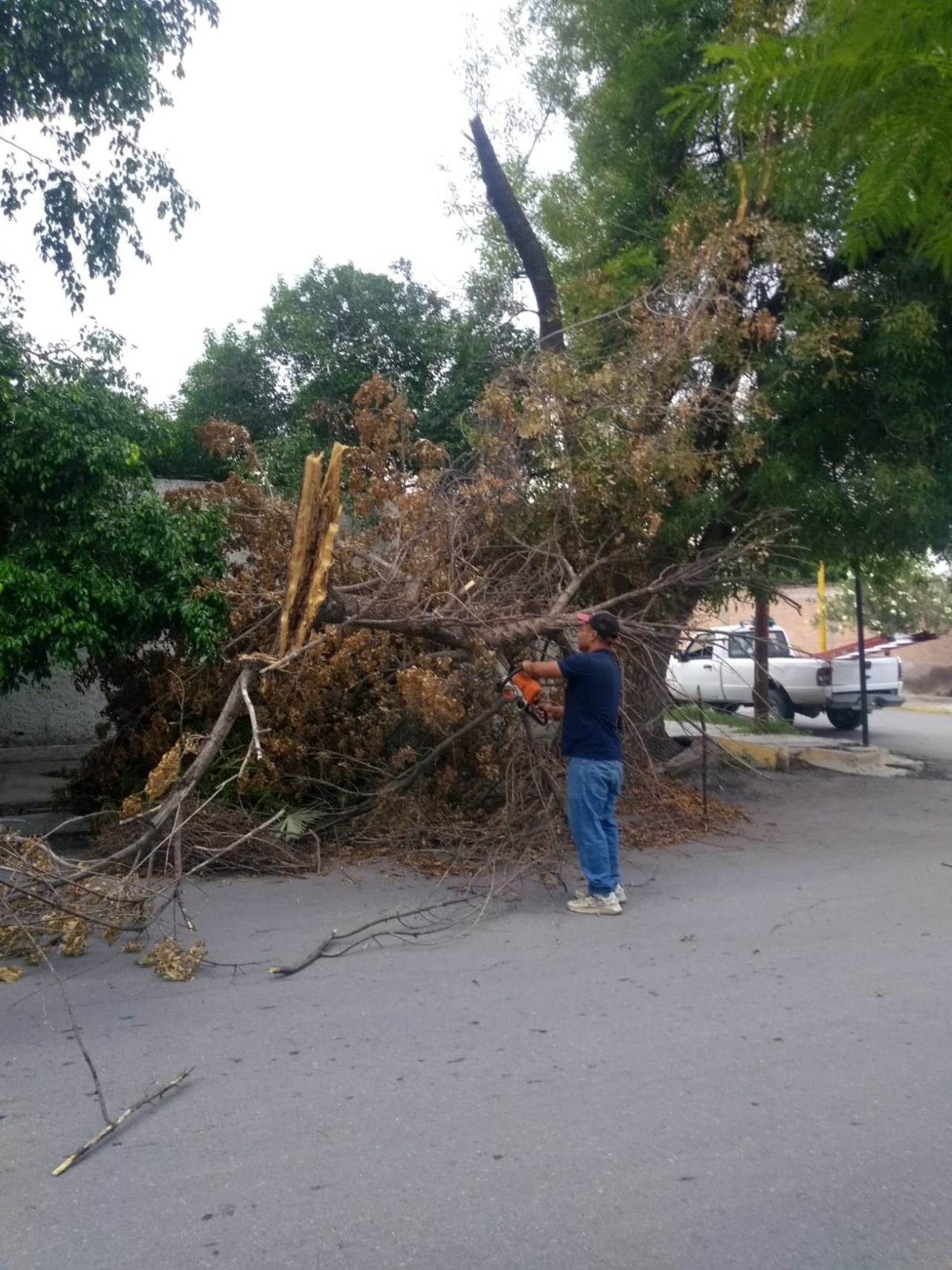 Se esperan más precipitaciones y ráfagas de viento en esta semana.