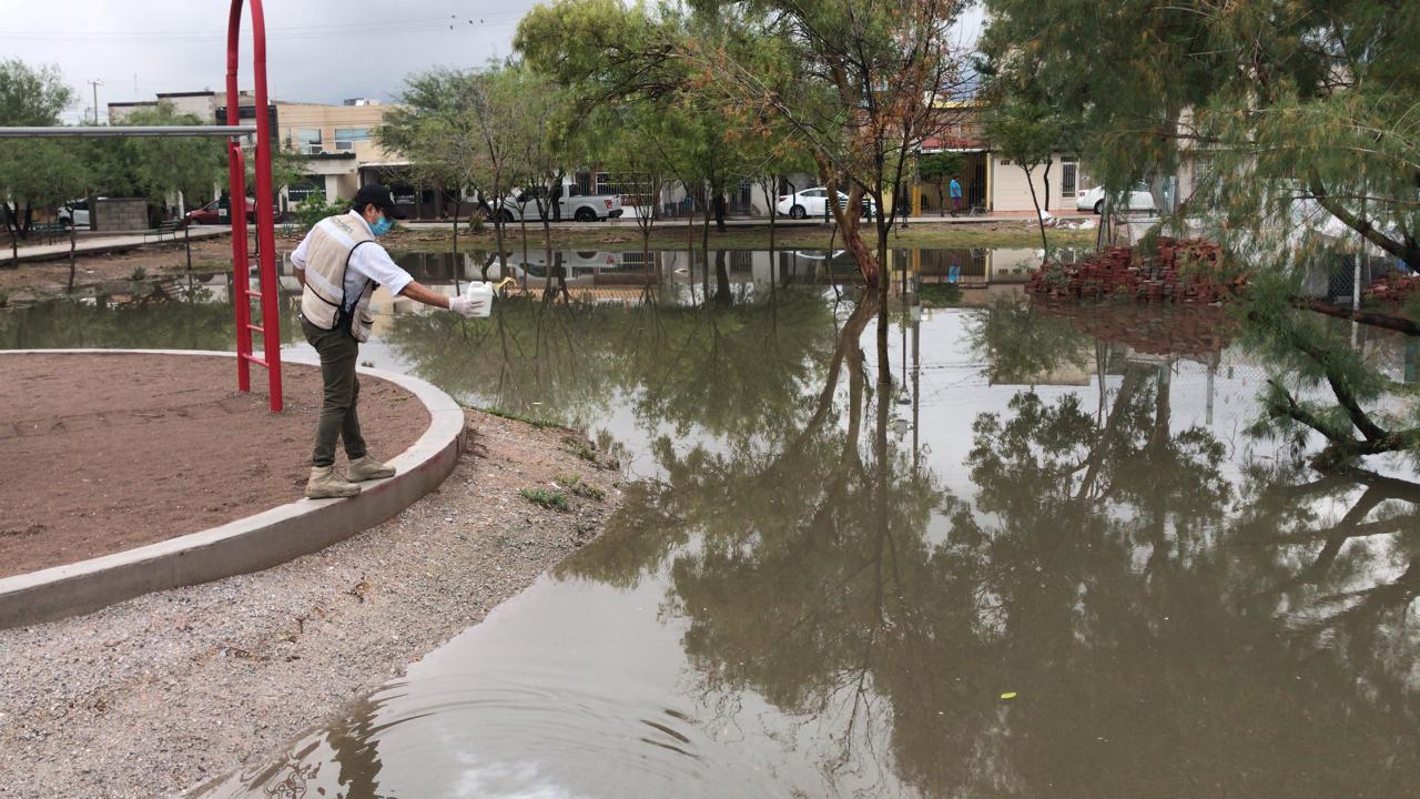 Operativos contra el dengue. 