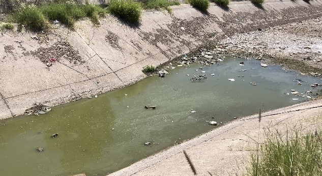 An outbreak of dengue fever and hepatitis was recorded in Coyote and surrounding ejidos in the municipality of Matamoros