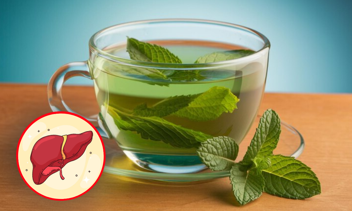 Purifica tu hígado con una infusión de menta