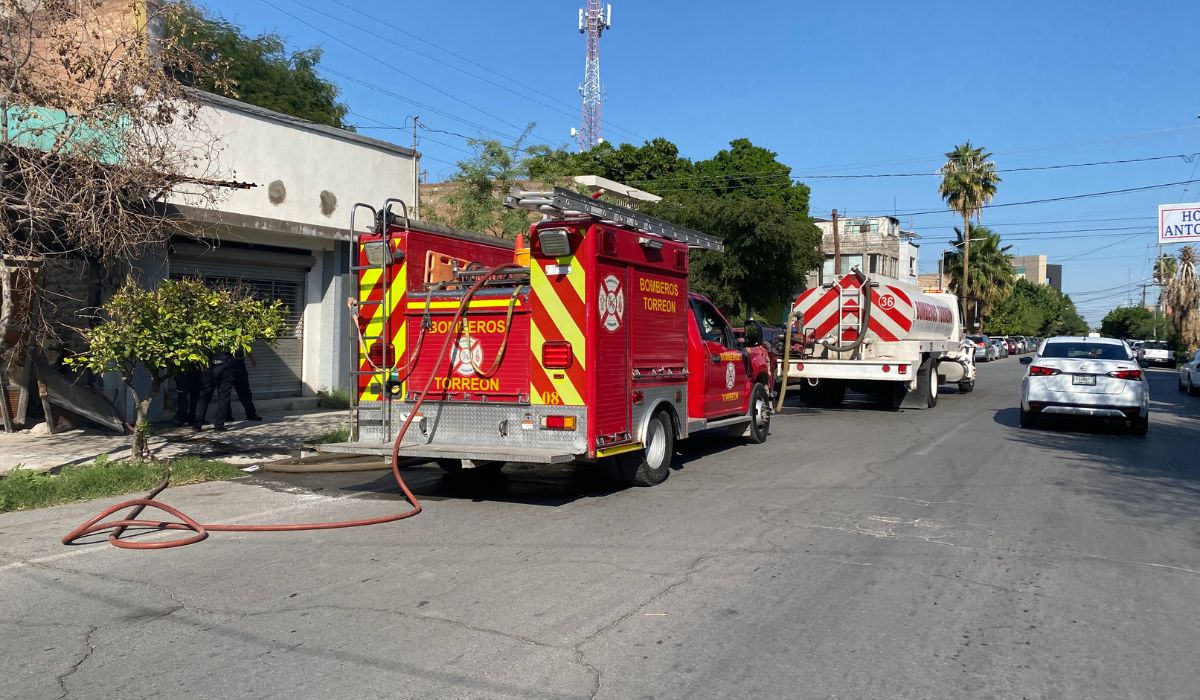 Constantes incendios en finca abandonada son provocados, dos perros murieron calcinados en el lugar