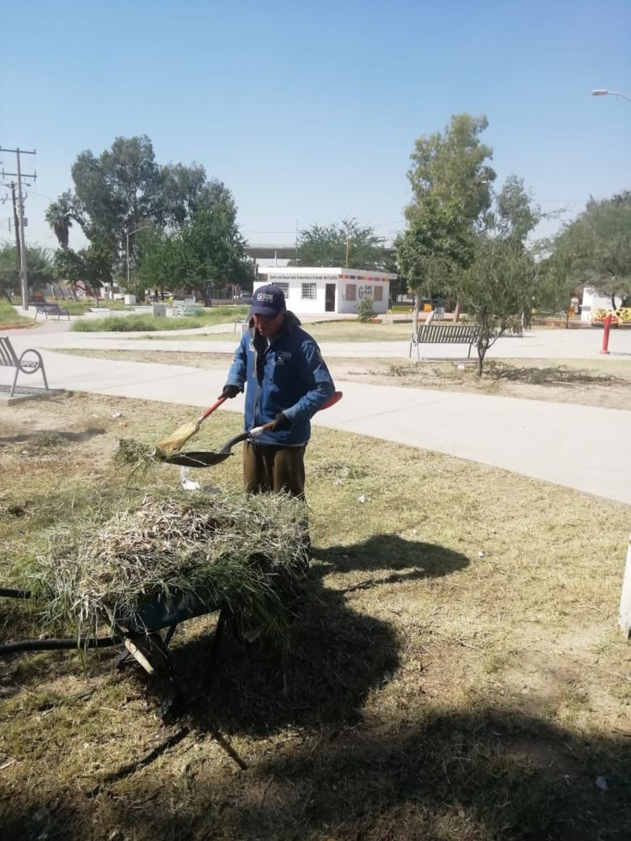 Realizan trabajos de poda, desmalezado y limpieza general. (EL SIGLO DE TORREÓN)