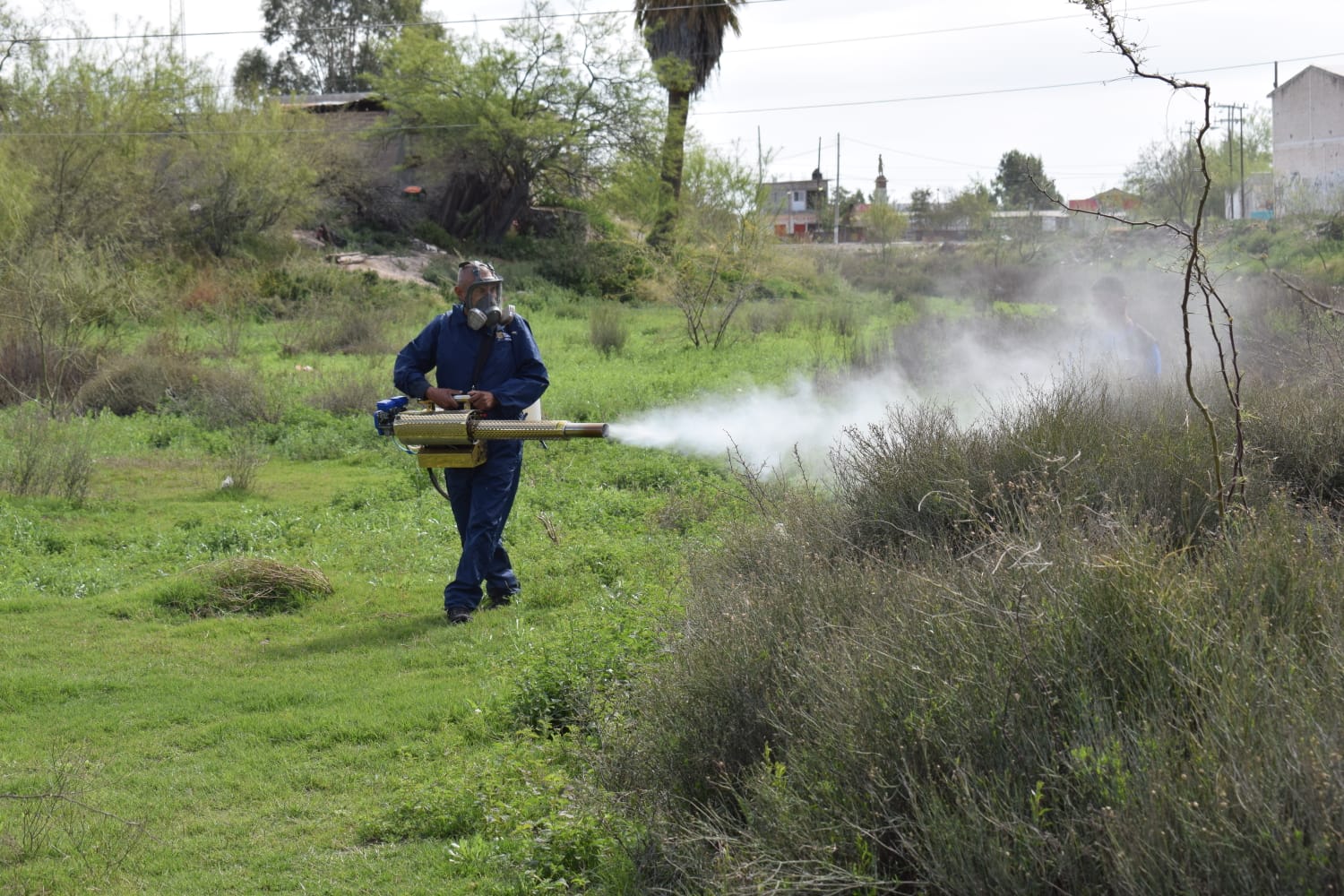 Refuerzan medidas contra el dengue en Ramos Arizpe