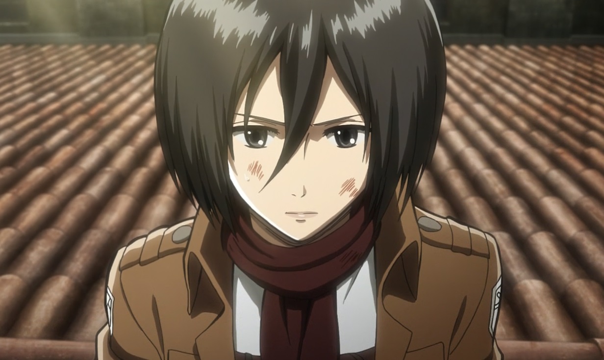 Mikasa Ackerman.