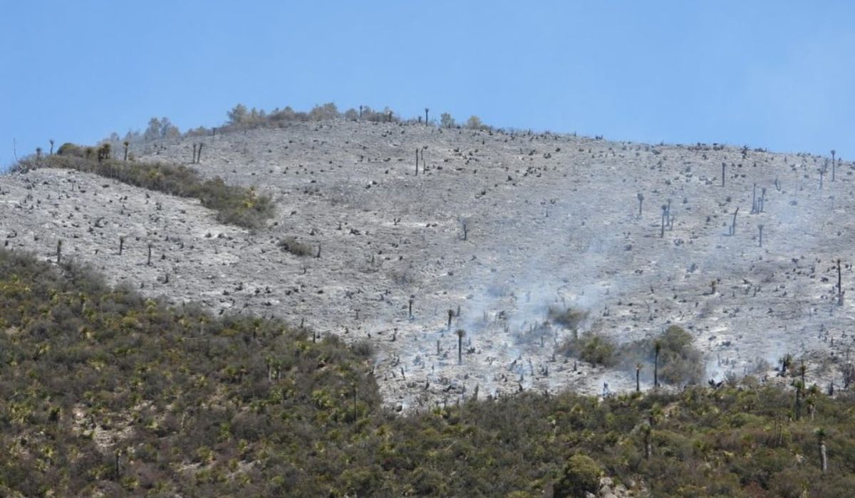 Destacan esfuerzos de conservación en la Sierra de Zapalinamé