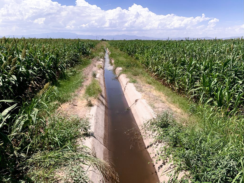 La CNC pidió al gobierno federal que regresen los programas de apoyo y el crédito que se otorgaba
al campo. (EL SIGLO DE TORREÓN)