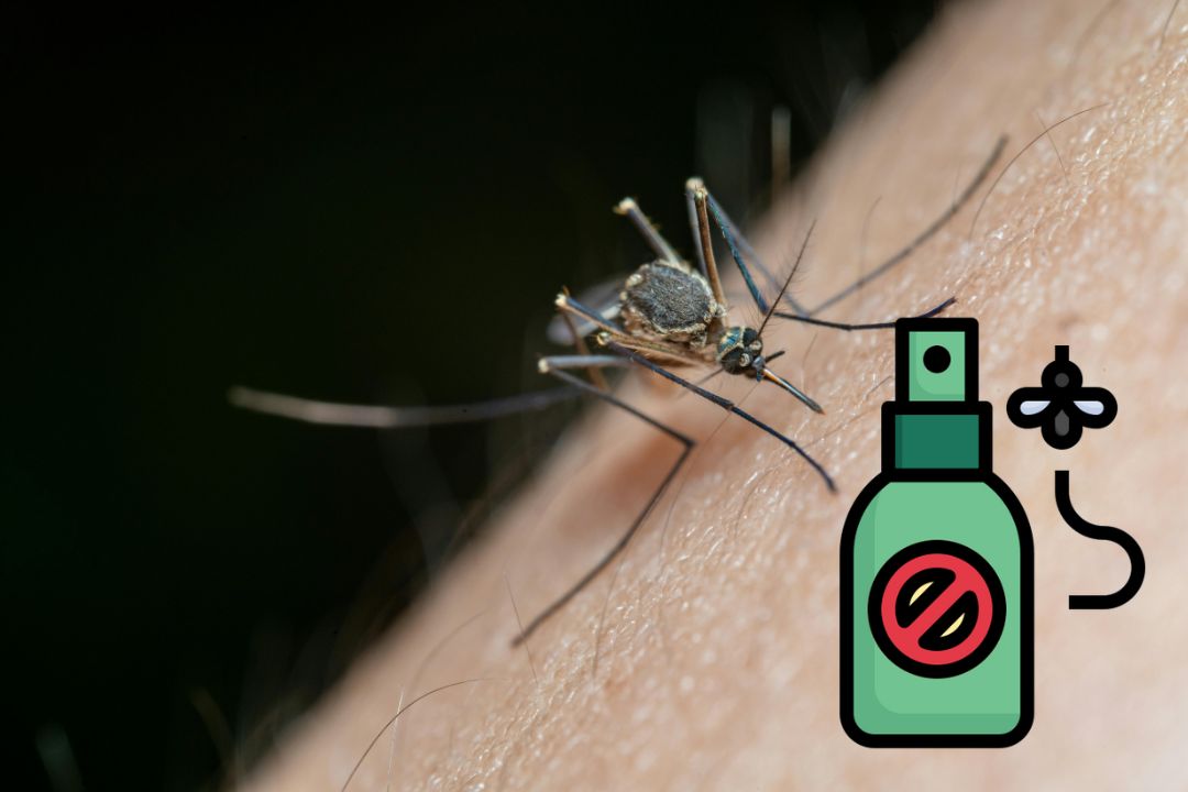 ¿Cómo elegir el mejor repelente para mosquitos según la Secretaria de Salud? | Recomendaciones